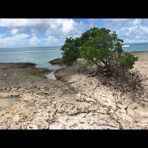 Meet your Posher, Darcy